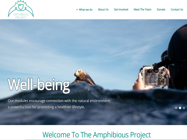 the amphibious project